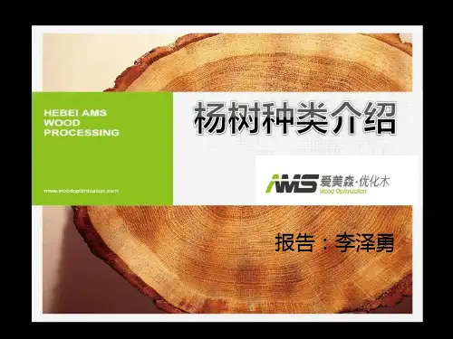 杨树种类
