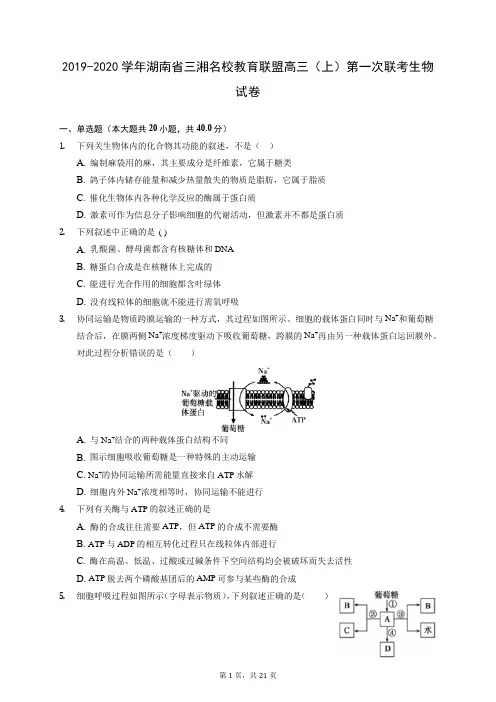 2019-2020学年湖南省三湘名校教育联盟高三(上)第一次联考生物试卷 (含答案解析)