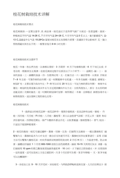 桂花树栽培技术详解.doc