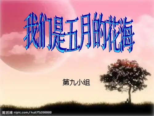 我们是五月的花海