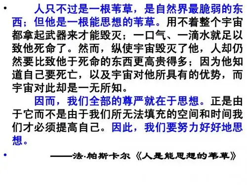 字形检查