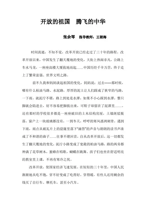 改革开放三十年 2