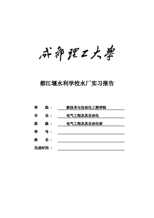 都江堰双合水电厂实习报告