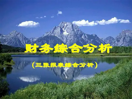 财务分析十综合分析