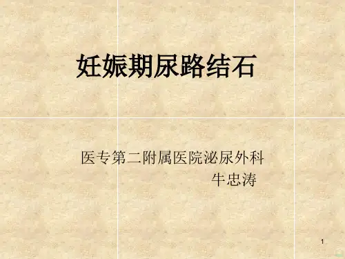 妊娠期结石PPT课件