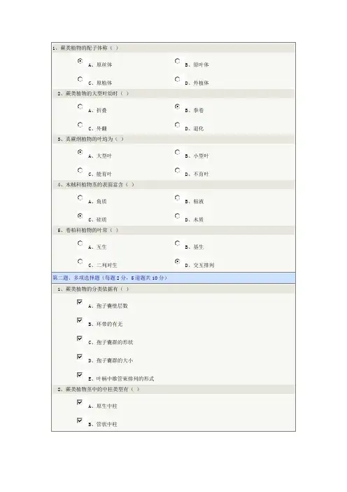 蕨类植物门