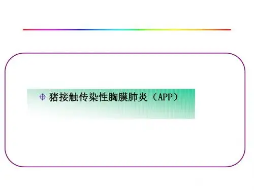 猪接触传染性胸膜肺炎