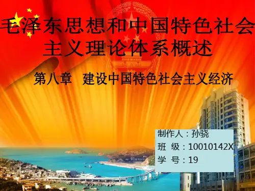 毛概课件第八章第一节