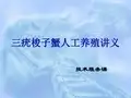 三疣梭子蟹的人工养殖技术