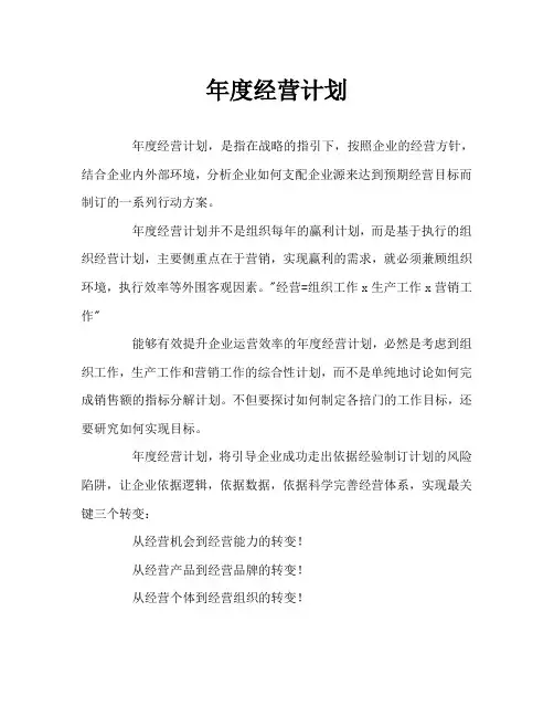 年度经营计划