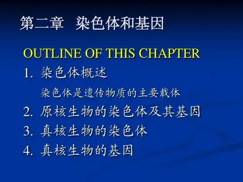 CH02 染色体和基因