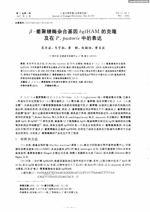 β—葡聚糖酶杂含合基因bglHAM的克隆及在P.pastoris中的表达