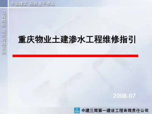 渗水实例及处理方法