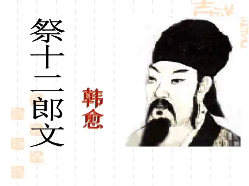 高二语文课件 祭十二郎文1