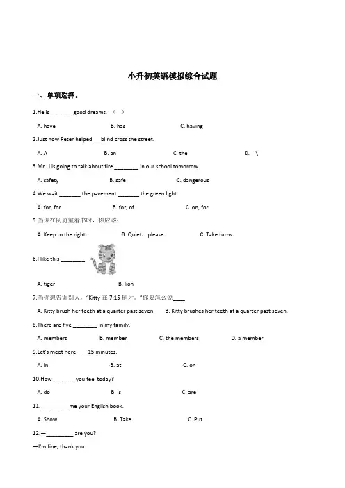 湘少版六年级下册小升初英语模拟综合练习试卷   含答案 (7)