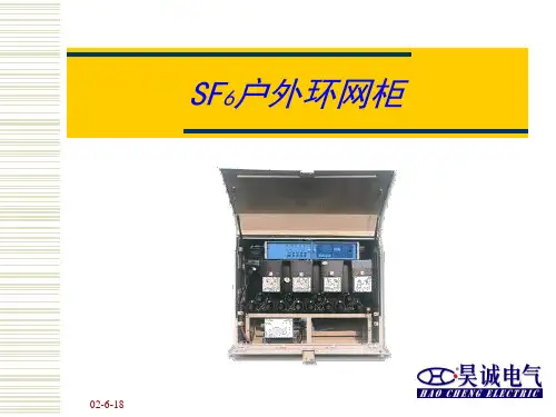 SF6户外环网柜