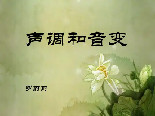 汉语拼音-声调课件