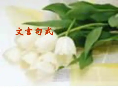 高考语文专题复习文言句式课件