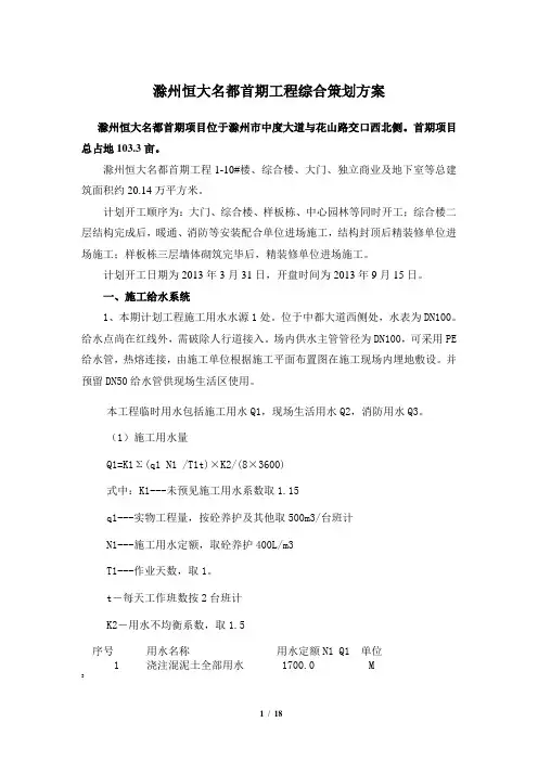 项目综合策划方案