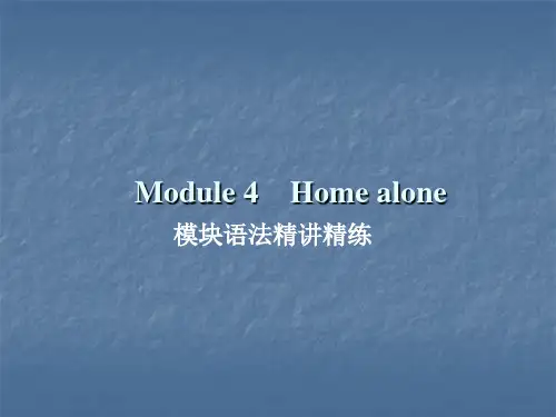2019年秋外研版九年级英语上册作业课件：Module 4  模块语法精讲精练