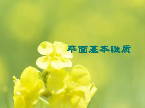 平面基本性质PPT教学课件