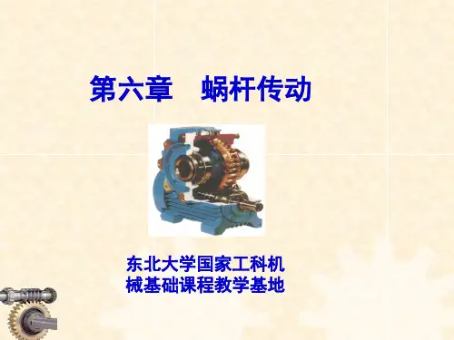 机械设计电子教案第六章 蜗杆传动