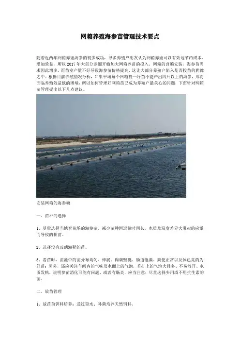 网箱养殖海参苗管理技术要点