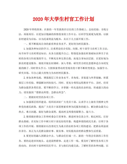 2020年大学生村官工作计划