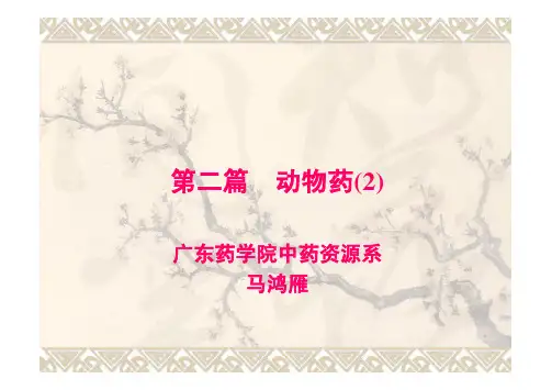 动物类中药2.
