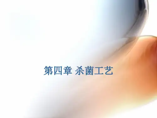 罐头杀菌工艺.pptx