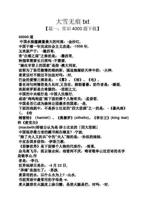 大雪无痕txt