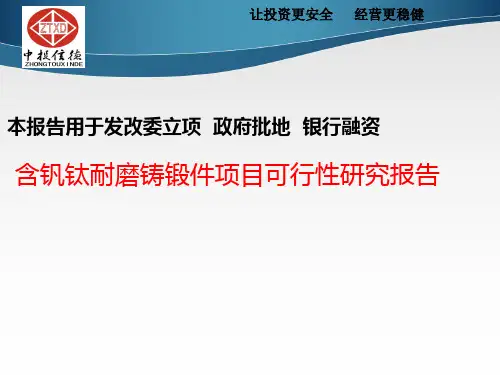含钒钛耐磨铸锻件项目可行性研究报告4(精)