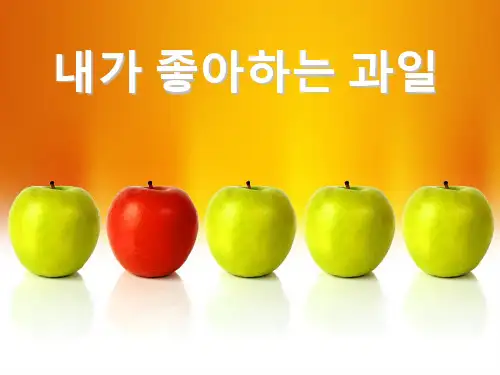 韩语教学教案(课堂PPT)