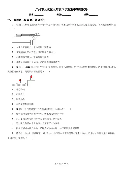 广州市从化区九年级下学期期中物理试卷