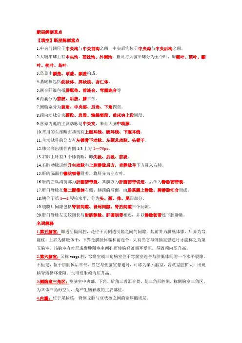 断层解剖 重点 总结