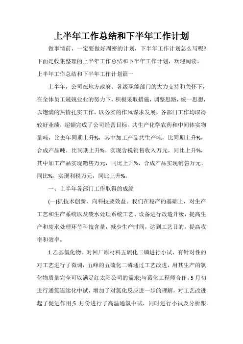  上半年工作总结和下半年工作计划