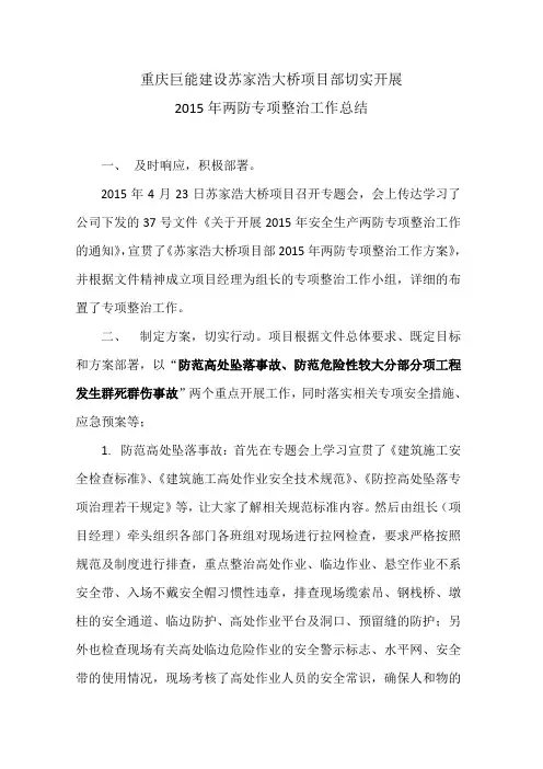 2015年两防专项整治工作总结