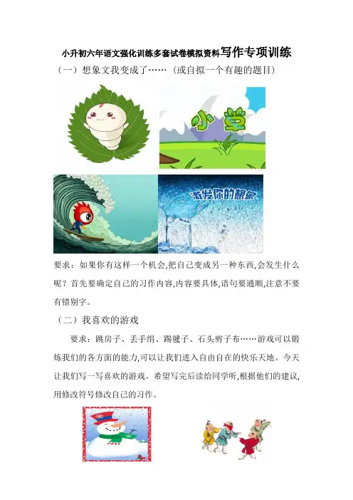 小升初六年语文强化训练多套试卷模拟资料写作专项训练