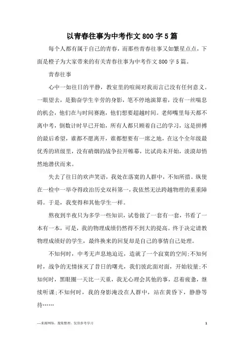 以青春往事为中考作文800字5篇