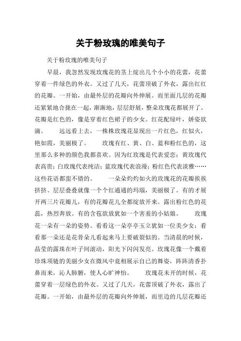 关于粉玫瑰的唯美句子