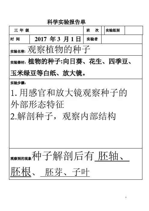三年级下册科学实验报告单(修改)