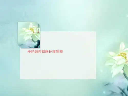 神经源性膀胱护理管理