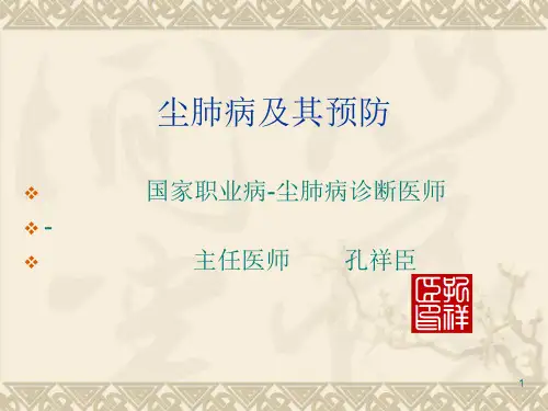 尘肺病及其预防 PPT课件