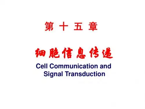 第15章细胞信号转导