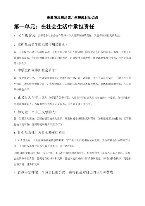 鲁教版九年级政治知识点