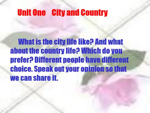 City And CountryPPT课件