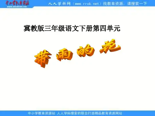 冀教版三年级下册带雨的花课件之一
