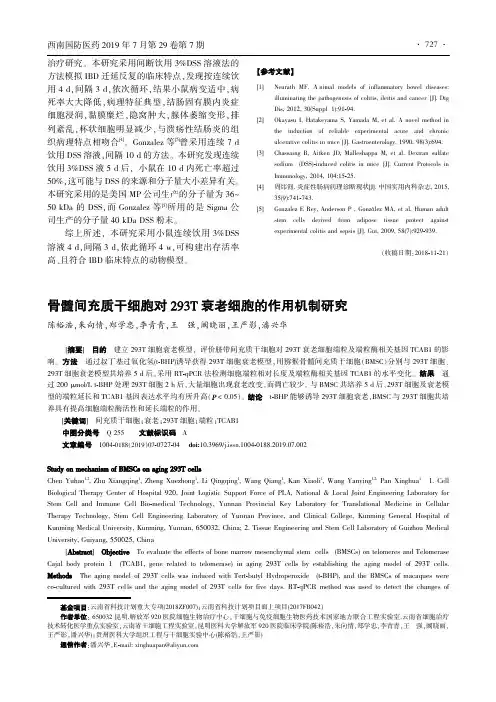 骨髓间充质干细胞对293T衰老细胞的作用机制研究