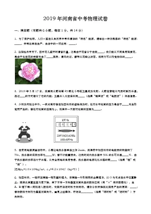 2019年河南省中考物理试卷 含答案