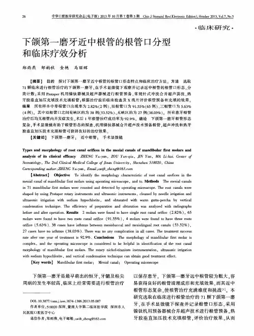 下颌第一磨牙近中根管的根管口分型和临床疗效分析